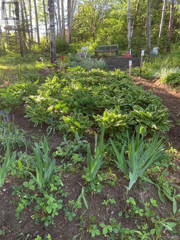 00 Belair Street, Grand Sault/grand Falls, New Brunswick  E3Y 1A8 - Photo 5 - NB081131