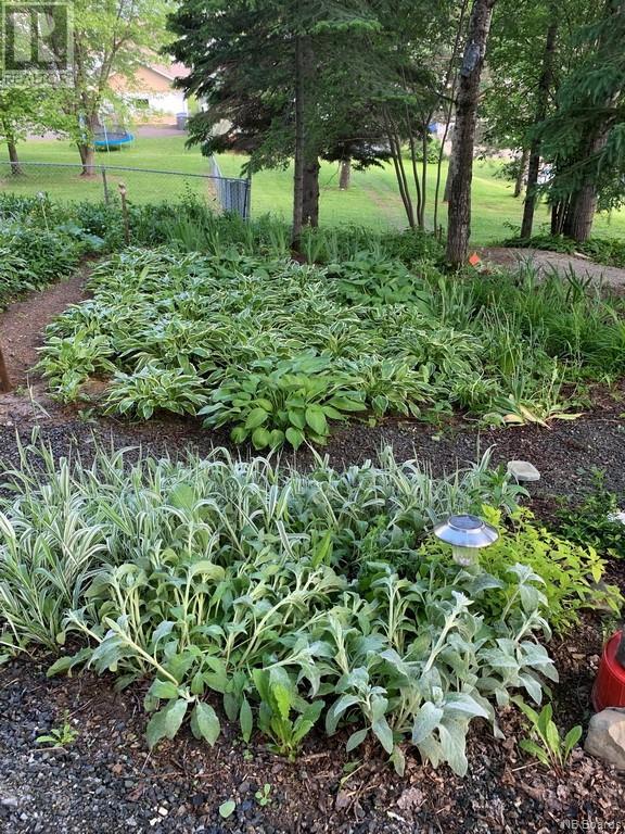 00 Belair Street, Grand Sault/grand Falls, New Brunswick  E3Y 1A8 - Photo 7 - NB081131