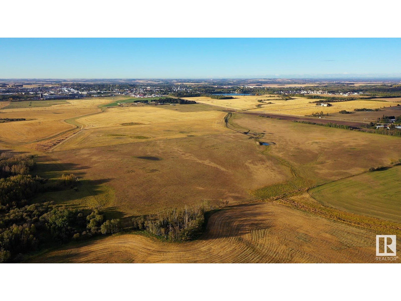 Lorem Ipsum D, Innisfail, Alberta  T4G  - Photo 3 - DEMO24975185
