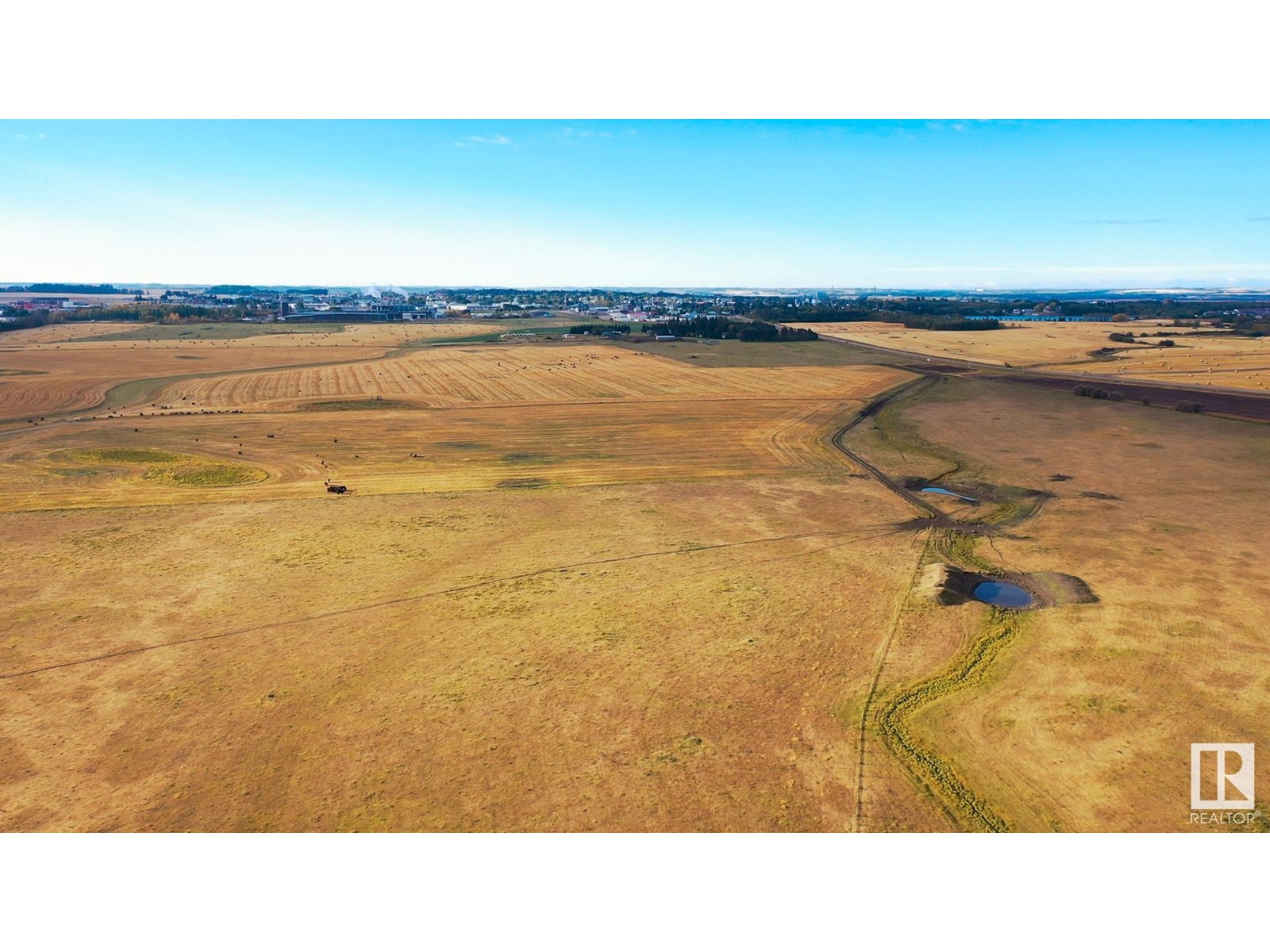 6360 C & E Tr, Innisfail, Alberta  T4G 0G9 - Photo 4 - E4317208