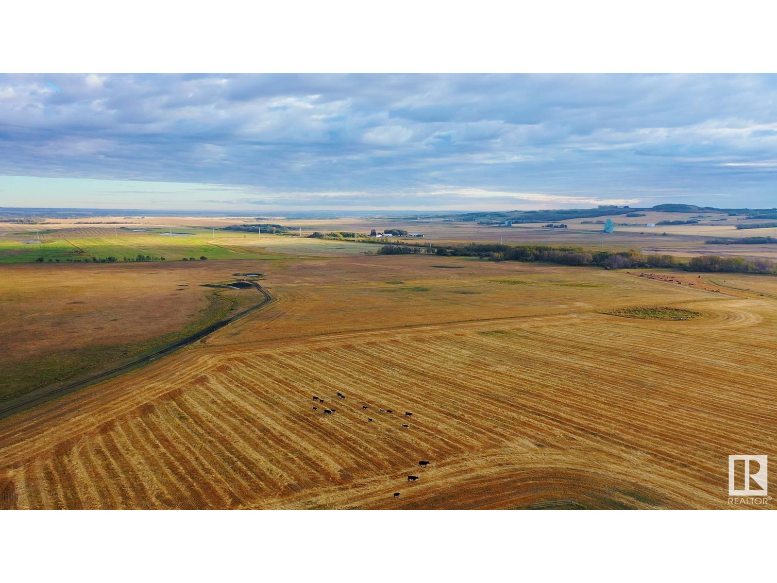 6360 C & E Tr, Innisfail, Alberta  T4G 0G9 - Photo 11 - E4317210