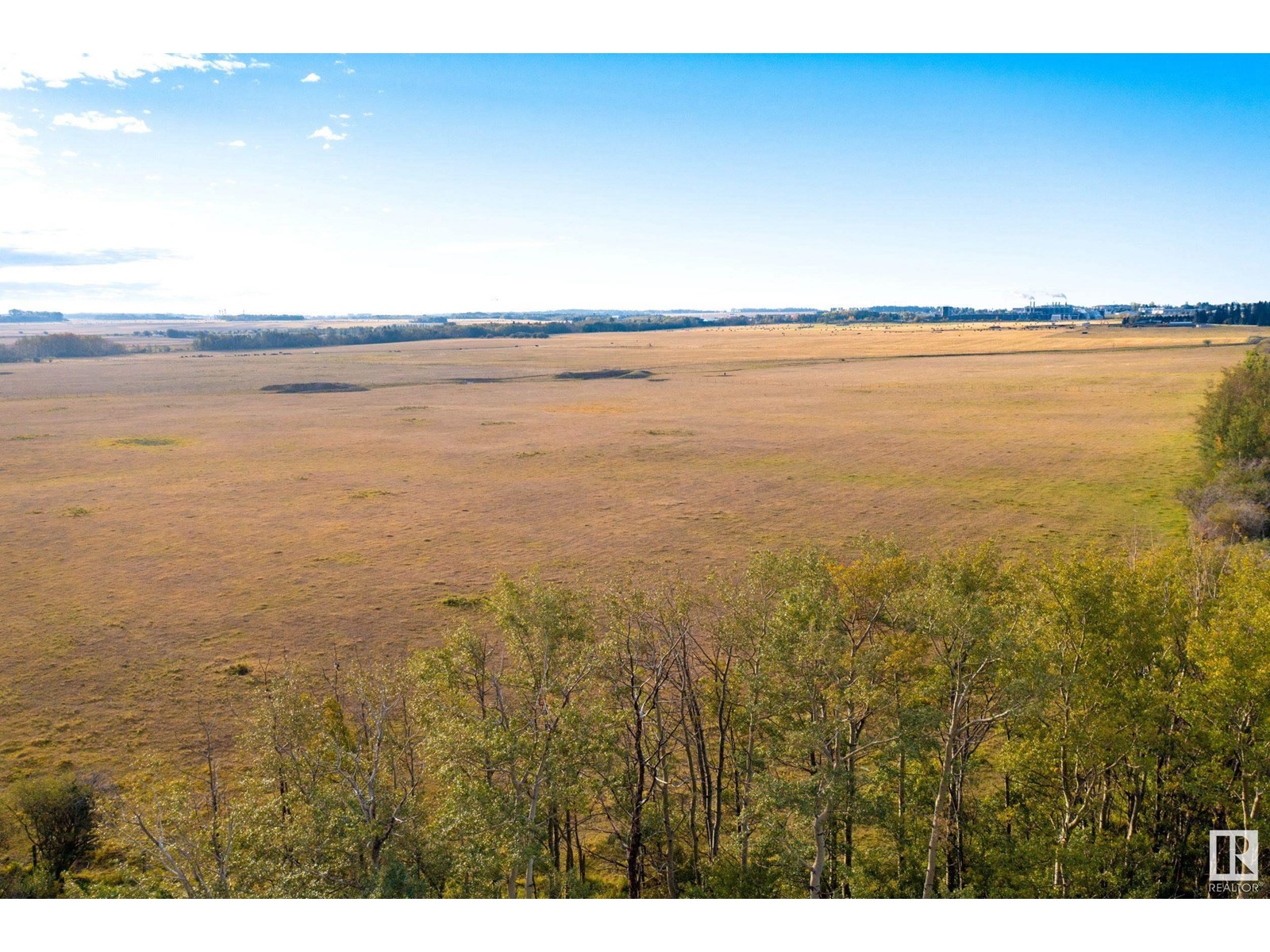 6360 C & E Tr, Innisfail, Alberta  T4G 0G9 - Photo 12 - E4317210