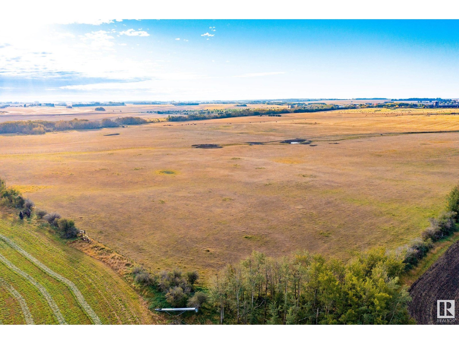 6360 C & E Tr, Innisfail, Alberta  T4G 0G9 - Photo 13 - E4317210