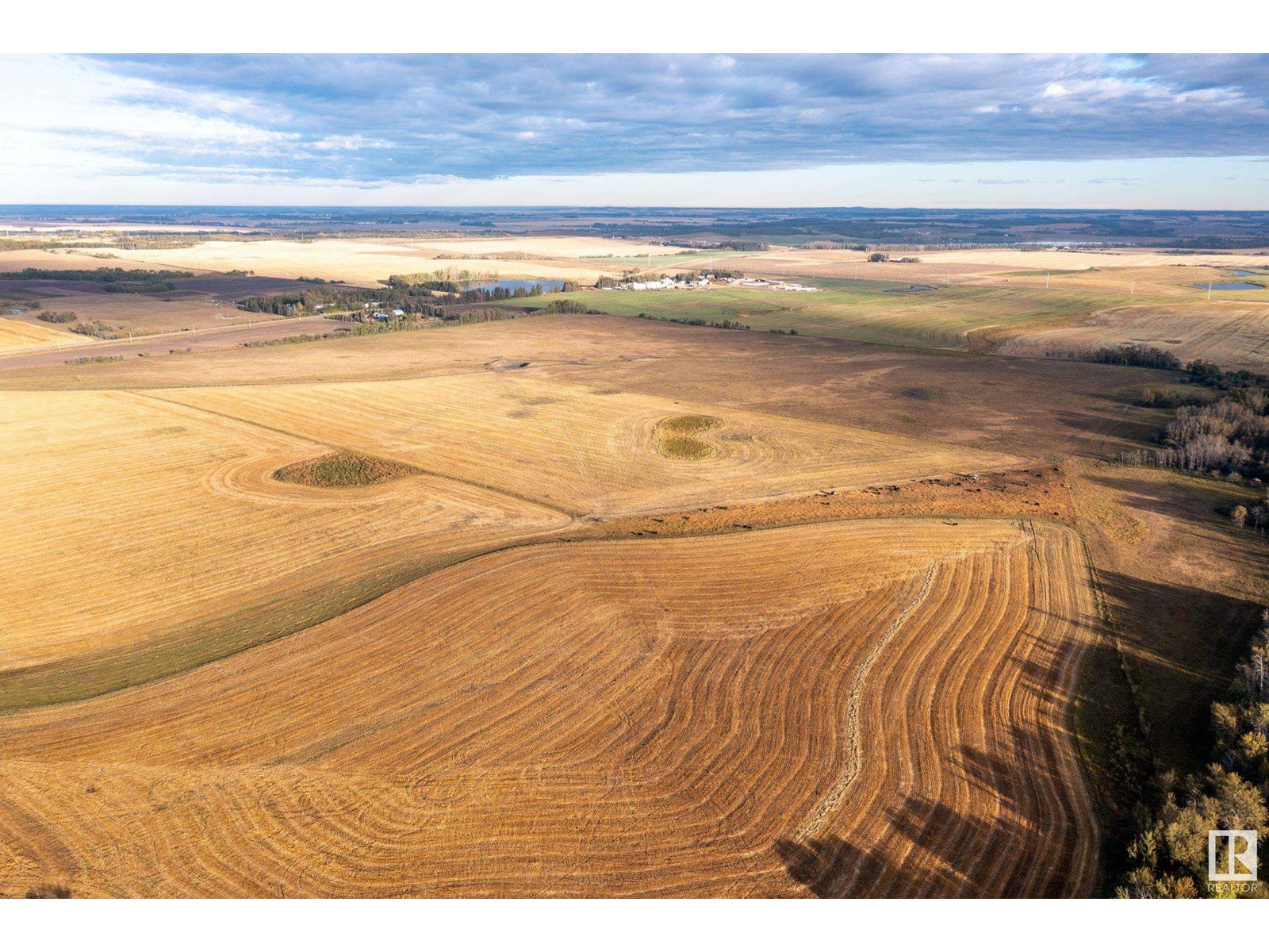 6360 C & E Tr, Innisfail, Alberta  T4G 0G9 - Photo 15 - E4317210