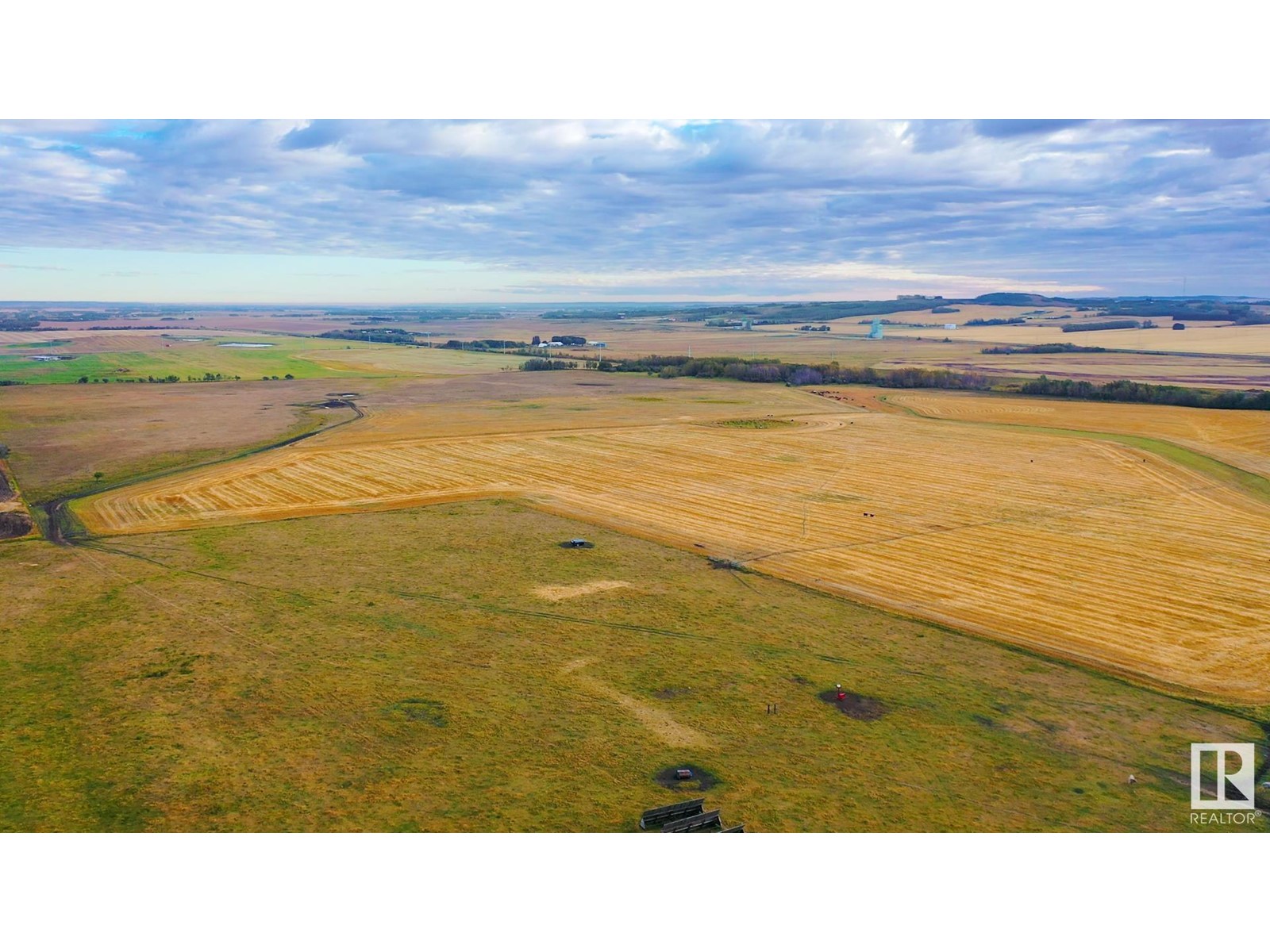 Lorem Ipsum D, Innisfail, Alberta  T4G  - Photo 4 - DEMO24975187