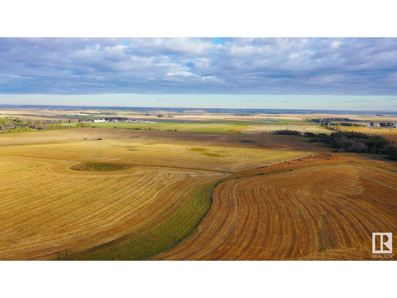 6360 C & E Tr, Innisfail, Alberta  T4G 0G9 - Photo 6 - E4317210