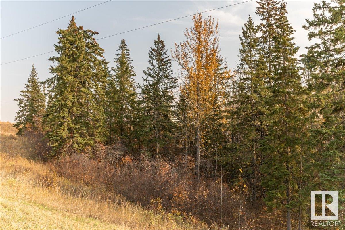 6 51112 Rge Rd 260, Rural Parkland County, Alberta  T7Y 1B2 - Photo 23 - E4316779