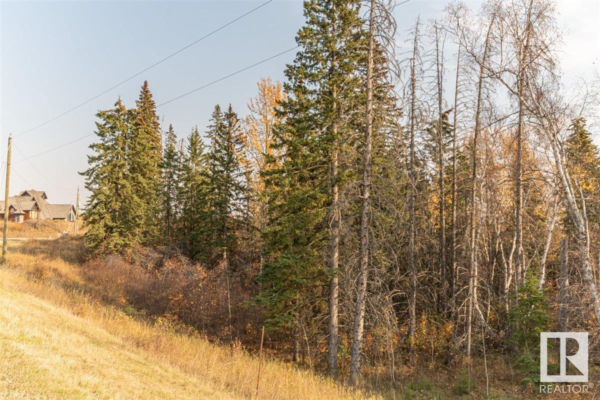 6 51112 Rge Rd 260, Rural Parkland County, Alberta  T7Y 1B2 - Photo 24 - E4316779