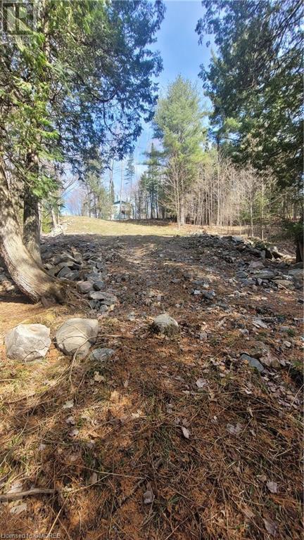 Lorem Ipsum, Haliburton, Ontario  K0M  - Photo 1 - DEMO25013214