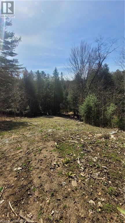 Lorem Ipsum, Haliburton, Ontario  K0M  - Photo 2 - DEMO25013214