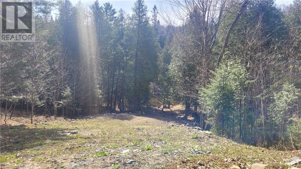 Lorem Ipsum, Haliburton, Ontario  K0M  - Photo 3 - DEMO25013214