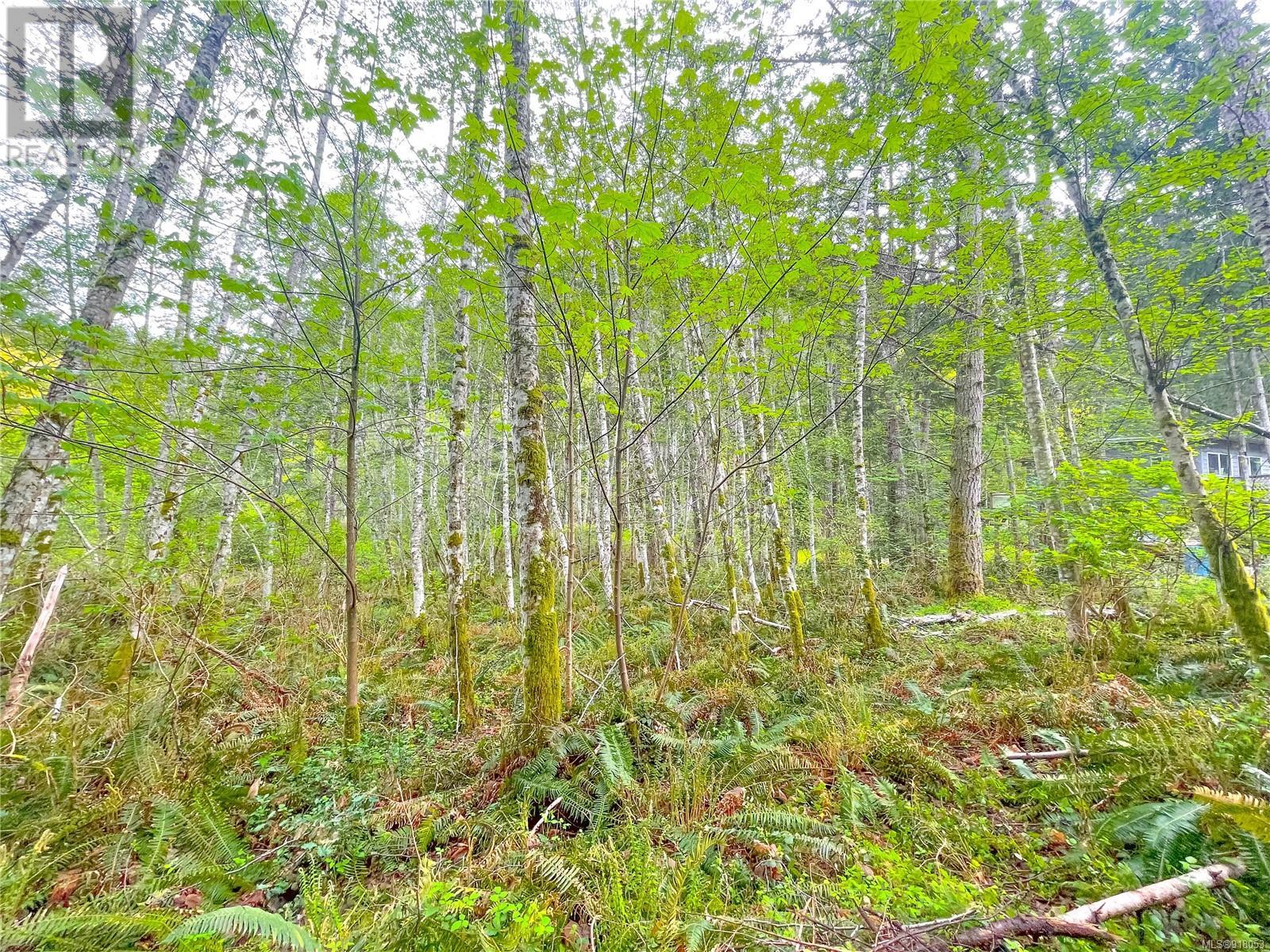 Lot 1 Porlier Pass Rd, Galiano Island, British Columbia  V0N 1P0 - Photo 10 - 918053