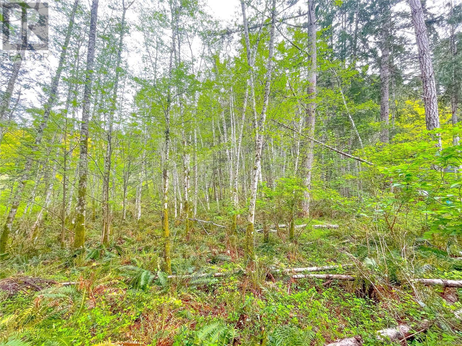 Lot 1 Porlier Pass Rd, Galiano Island, British Columbia  V0N 1P0 - Photo 28 - 918053