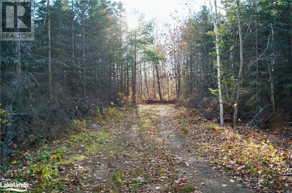 18 Part Lot 20 Concession W, Tiny, Ontario  L9M 0K2 - Photo 13 - 40337240