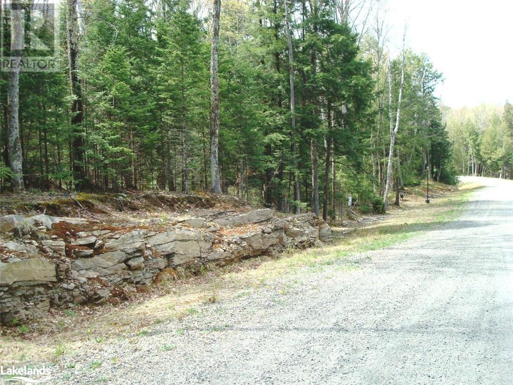 Lot 8 Lakeview Street, Haliburton, Ontario  K0M 1S0 - Photo 1 - 40346746