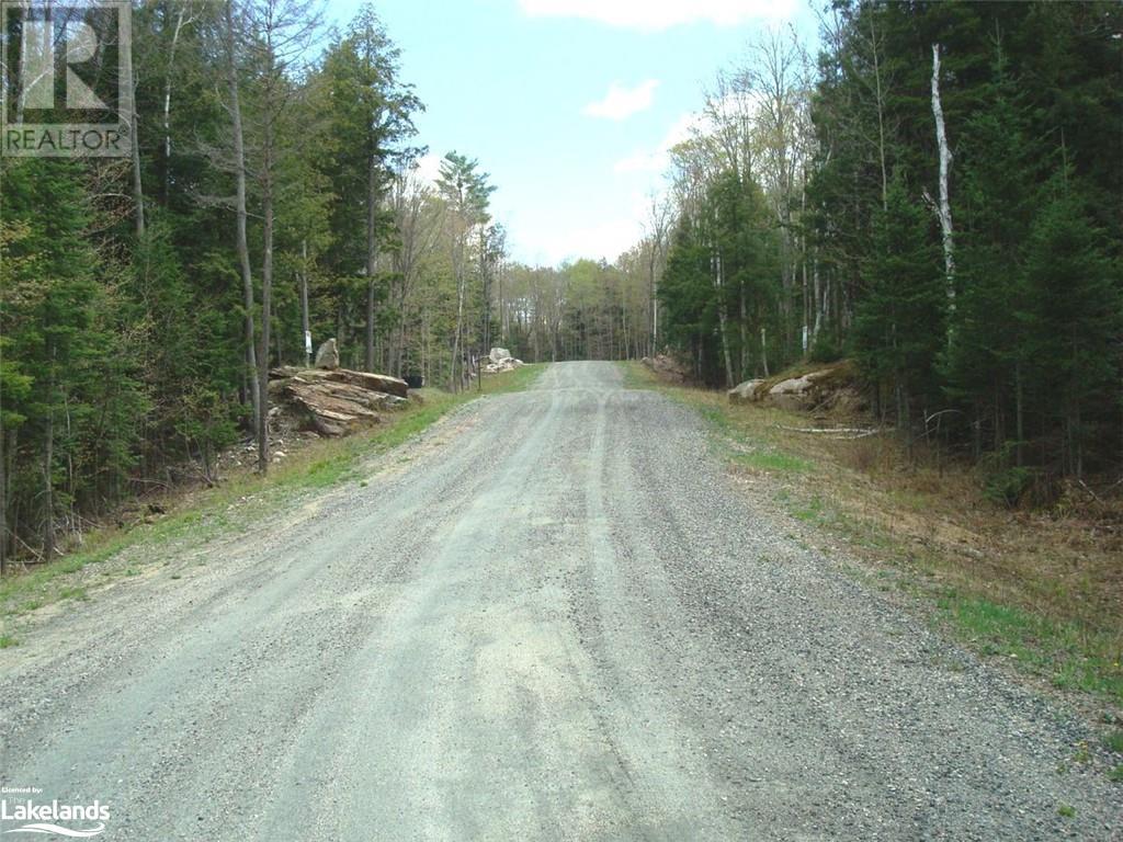 Lot 8 Lakeview Street, Haliburton, Ontario  K0M 1S0 - Photo 7 - 40346746