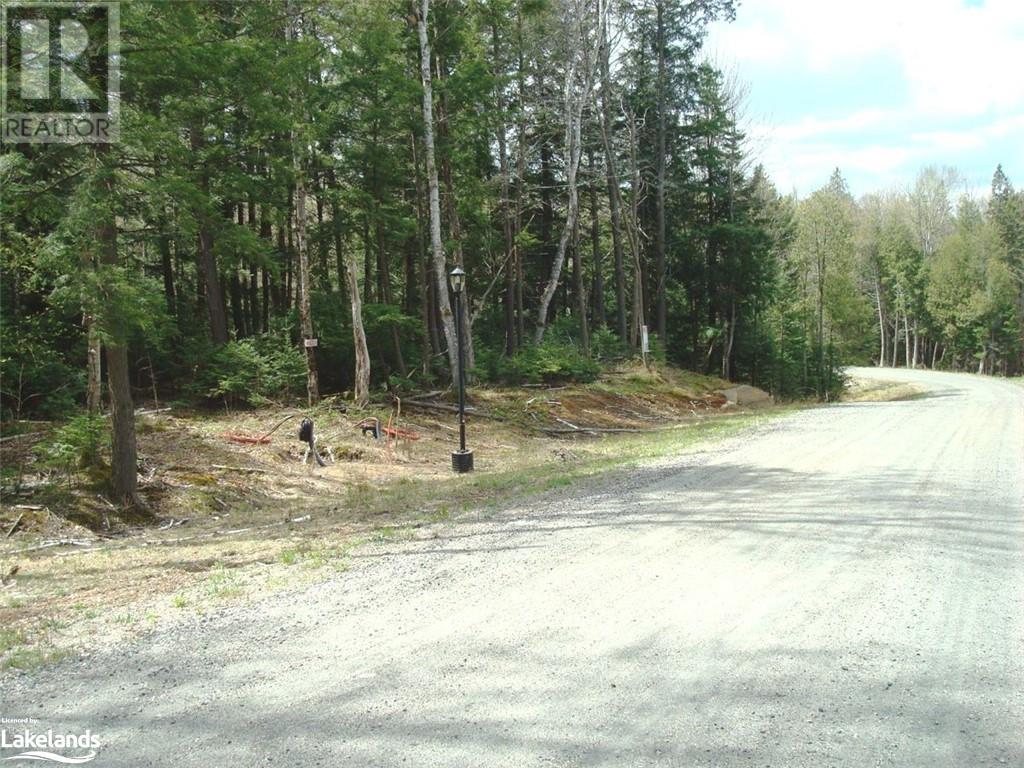 Lot 8 Lakeview Street, Haliburton, Ontario  K0M 1S0 - Photo 4 - 40346746