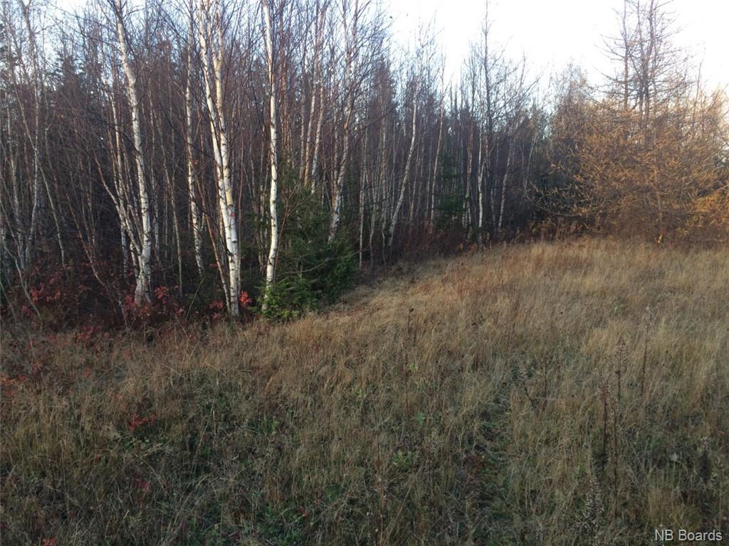 9110 Mc Rue Honoré, Tracadie, New Brunswick  E1X 1A6 - Photo 3 - NB081920