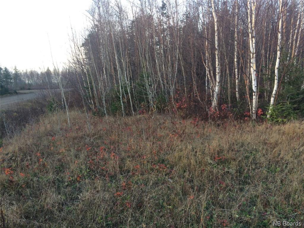 9110 Mc Rue Honoré, Tracadie, New Brunswick  E1X 1A6 - Photo 4 - NB081920