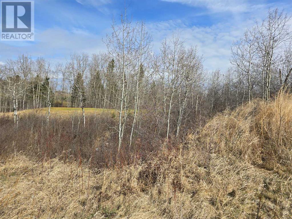 125 Wolf Run Drive, Rural Ponoka County, Alberta  T4J 1R3 - Photo 3 - A1193584