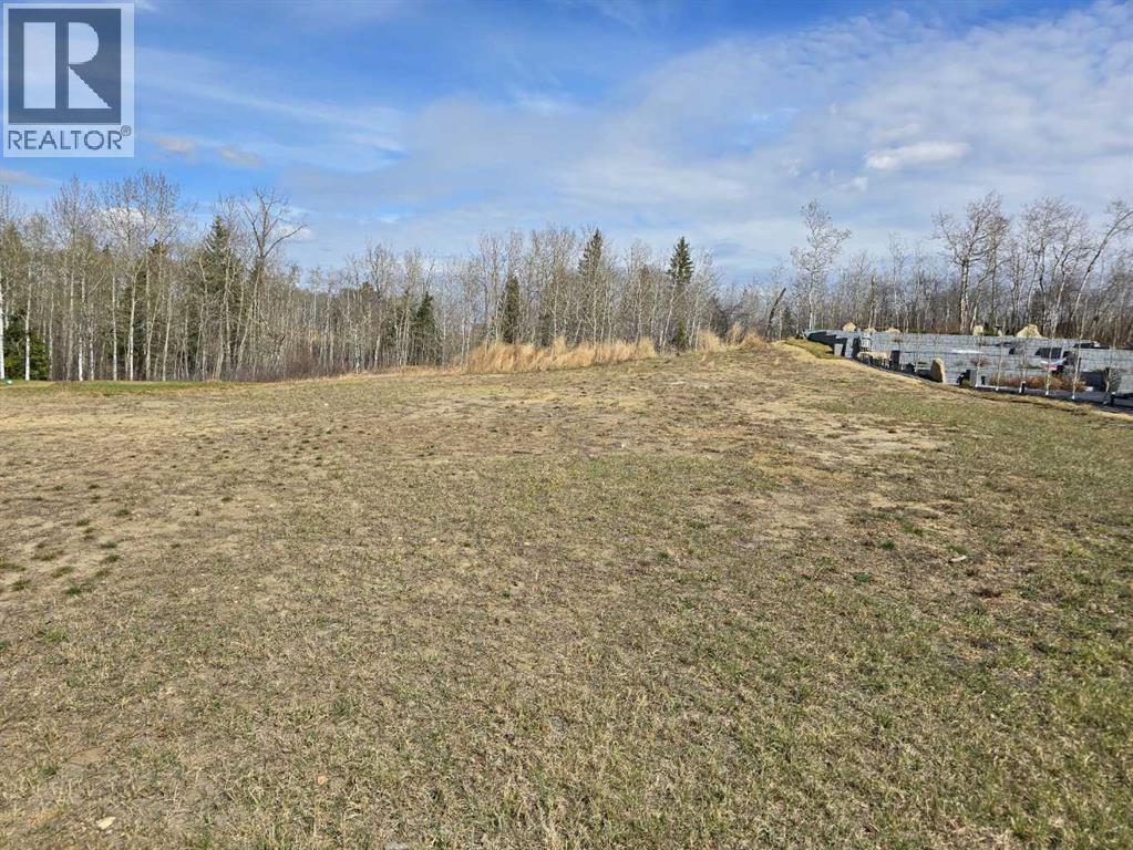 125 Wolf Run Drive, Rural Ponoka County, Alberta  T4J 1R3 - Photo 4 - A1193584