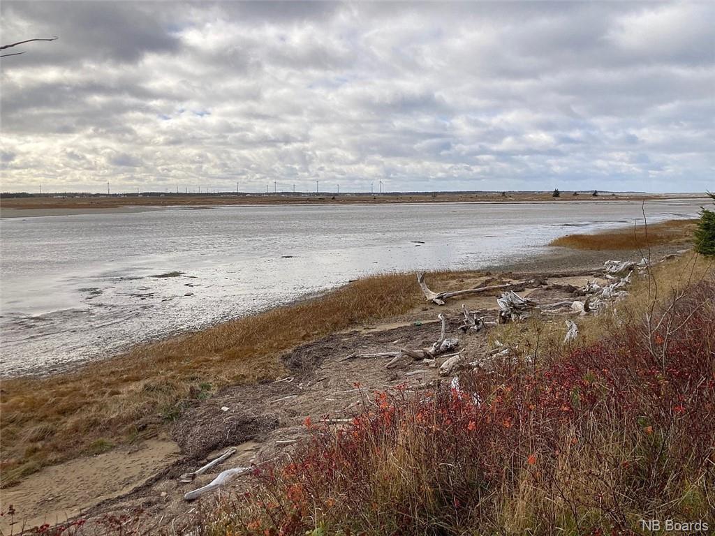 9711 Route 113, Miscou, New Brunswick E8T 2C5 - Photo 4 - NB081996