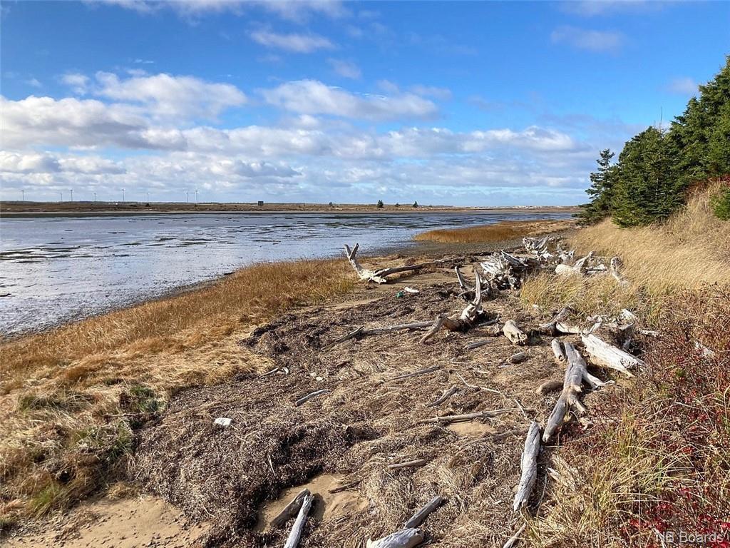 9711 Route 113, Miscou, New Brunswick E8T 2C5 - Photo 10 - NB081996