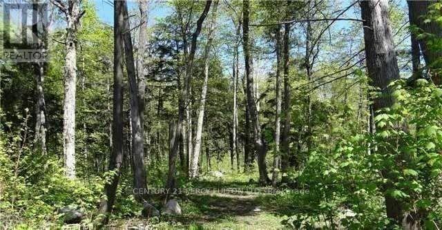 Lot F1 Nippissing Ridge Rd, Tiny, Ontario  L9M 0H6 - Photo 1 - S5826722