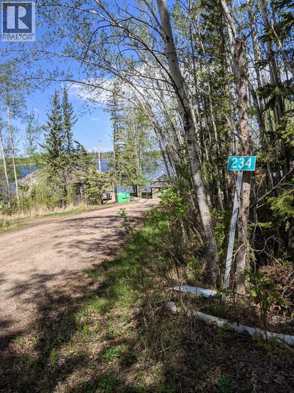 234, 15538 Old Trail, Plamondon, Alberta  T0A 2T0 - Photo 3 - A2011362