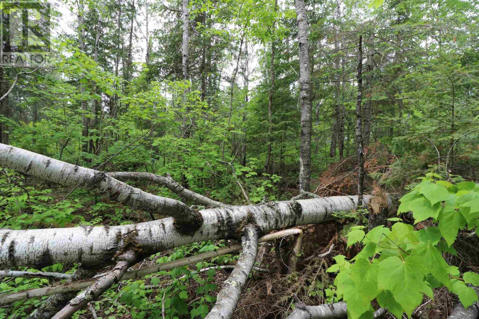 1831 Hwy 71, Sabaskong Bay, Lake Of The Woods, Nestor Falls, Ontario  P0X 1K0 - Photo 31 - TB221892