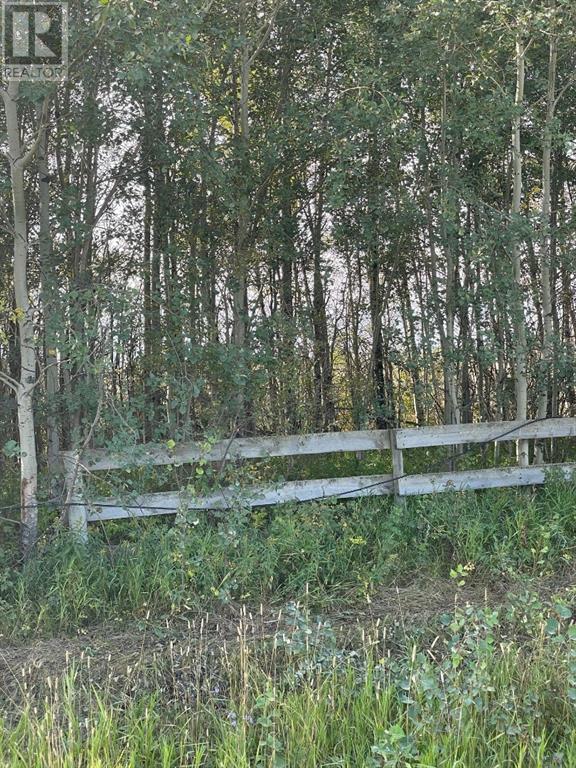 Chinook Valley Road, County Of, Alberta  T0H 1E0 - Photo 1 - A1142192