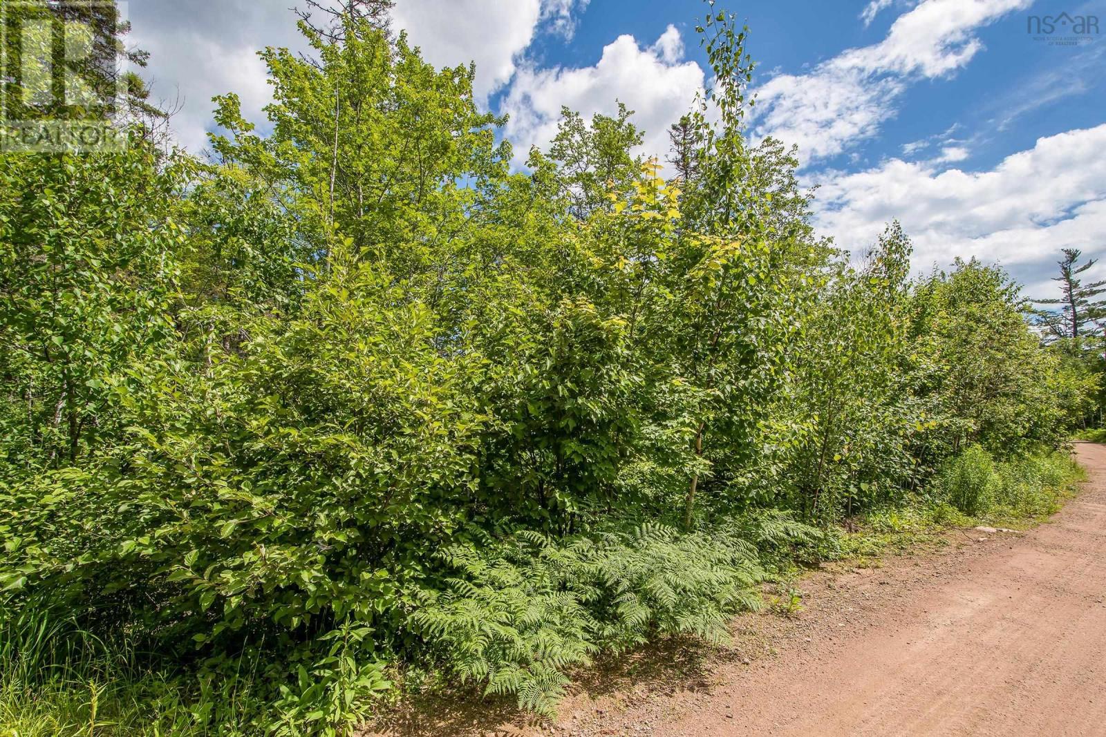 Lot 85 Waterloo Avenue, Waterloo Lake, Nova Scotia  B0S 1P0 - Photo 2 - 202219981