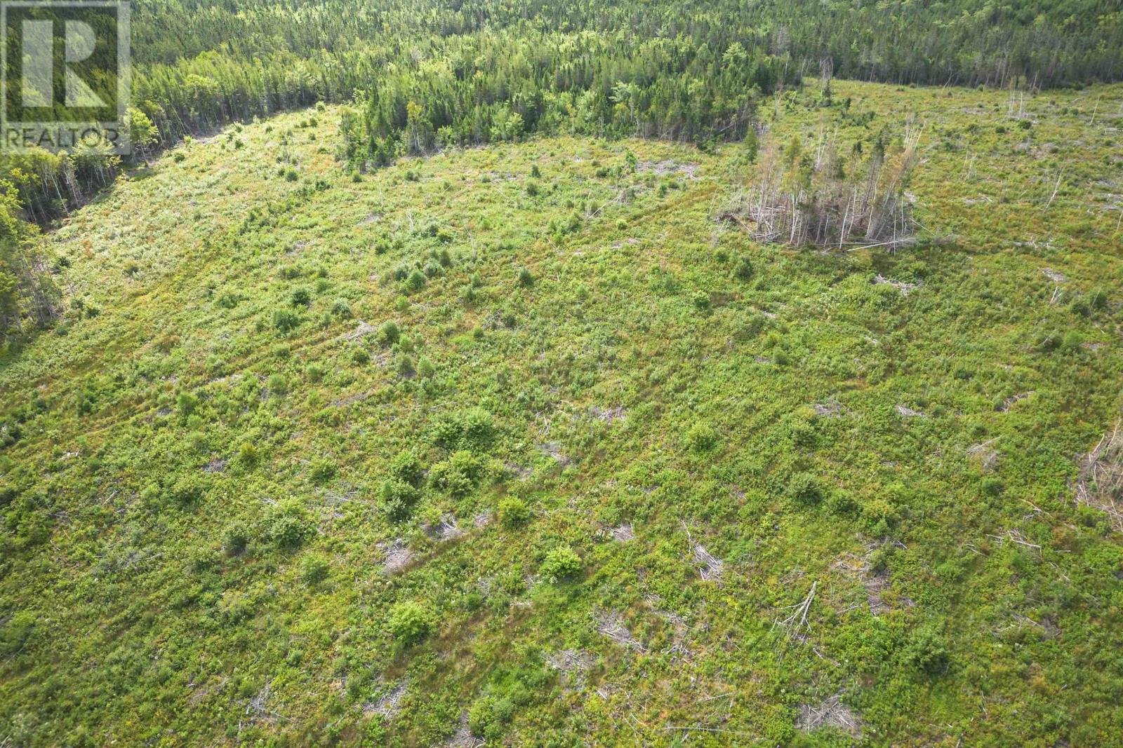 81 Balmoral Road, Grande Anse, Nova Scotia  B0E 1V0 - Photo 18 - 202227024