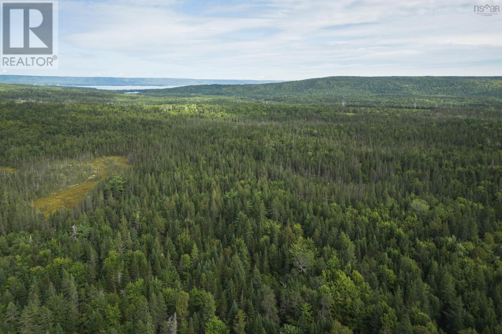 81 Balmoral Road, Grande Anse, Nova Scotia  B0E 1V0 - Photo 23 - 202227024
