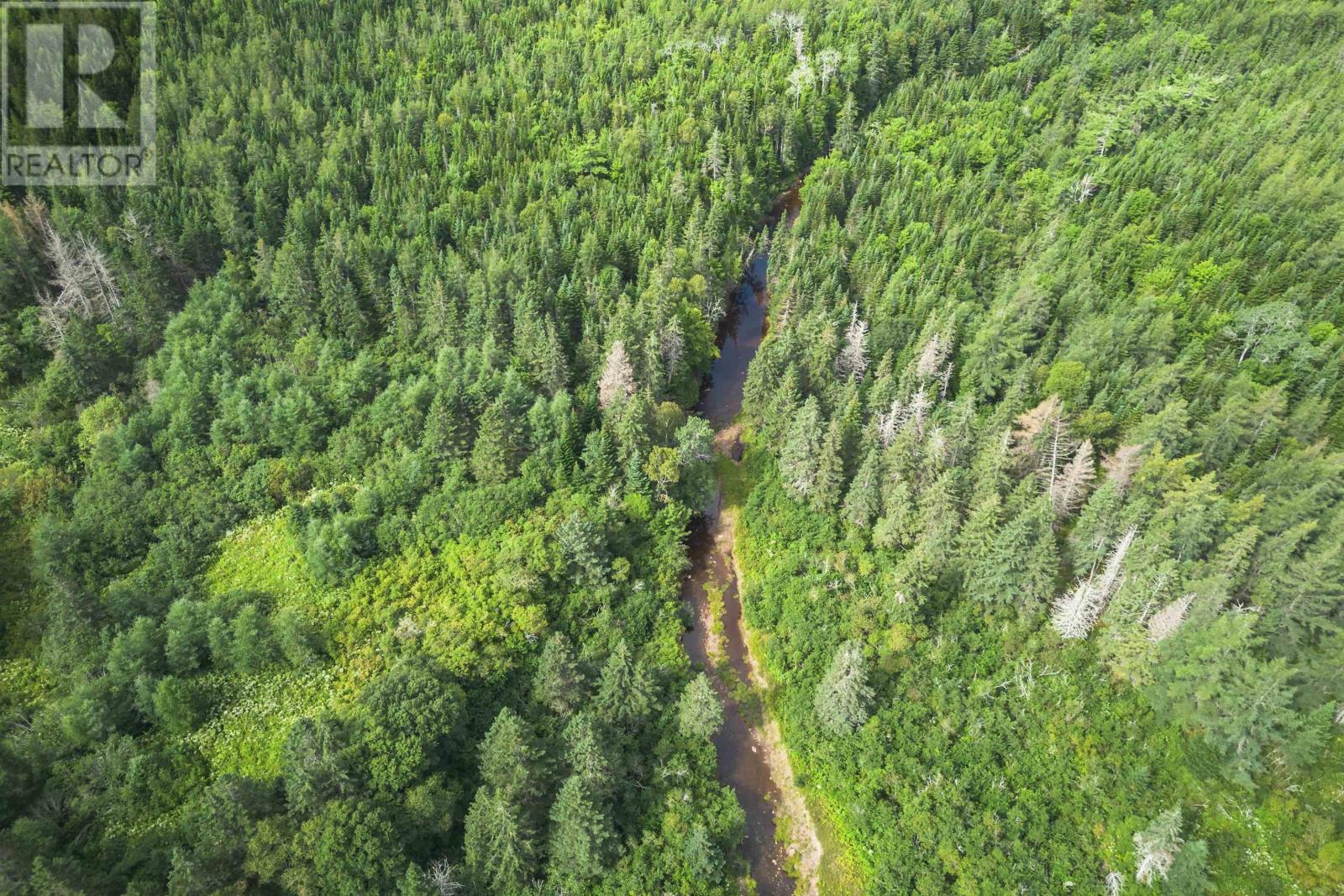 81 Balmoral Road, Grande Anse, Nova Scotia  B0E 1V0 - Photo 3 - 202227024