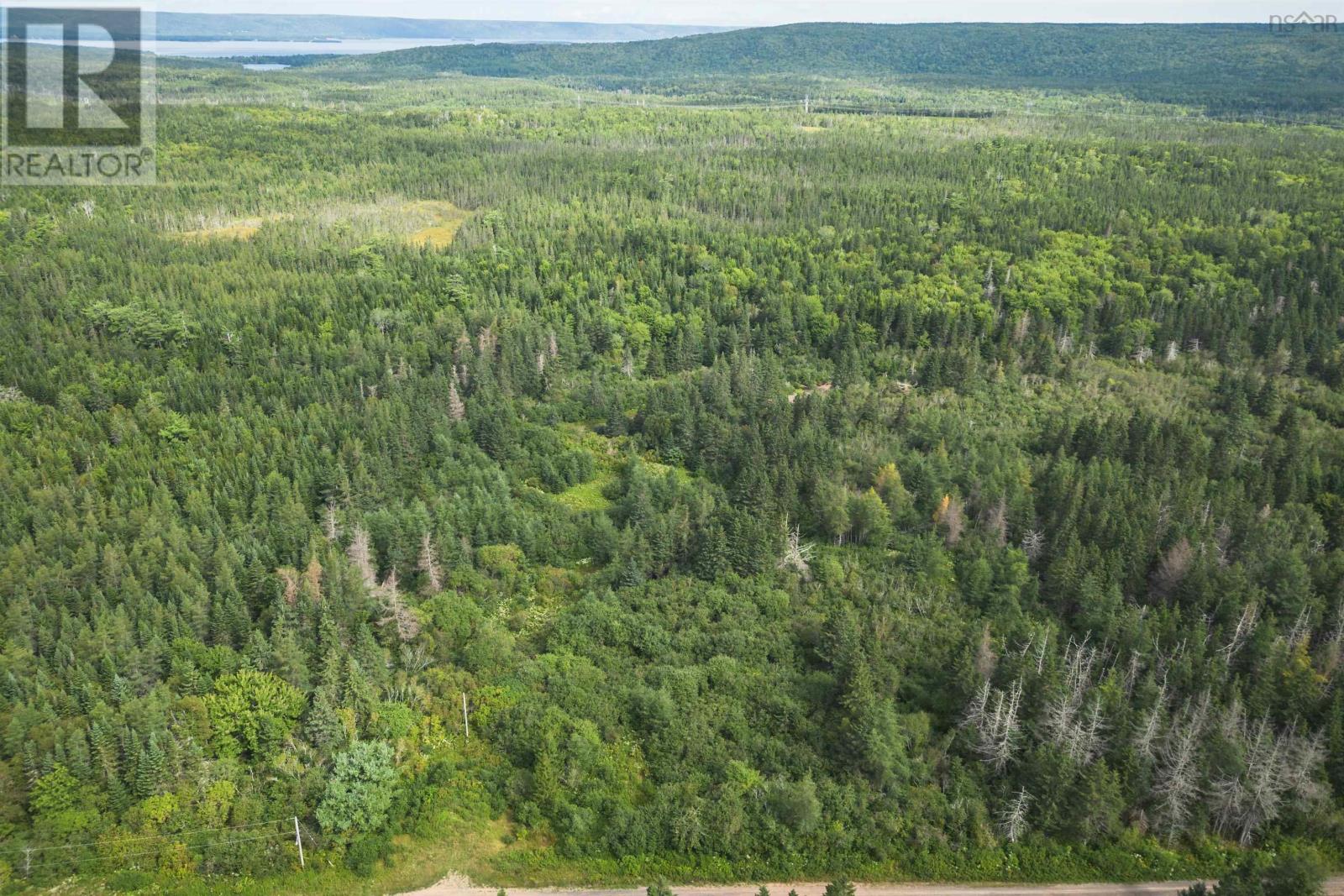 81 Balmoral Road, Grande Anse, Nova Scotia  B0E 1V0 - Photo 6 - 202227024