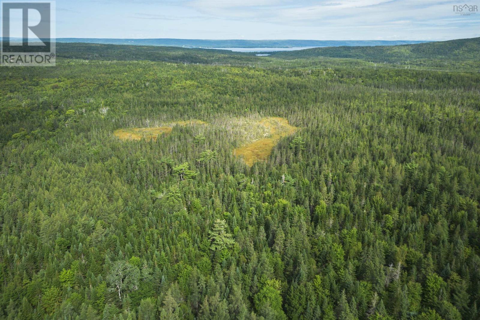 81 Balmoral Road, Grande Anse, Nova Scotia  B0E 1V0 - Photo 7 - 202227024