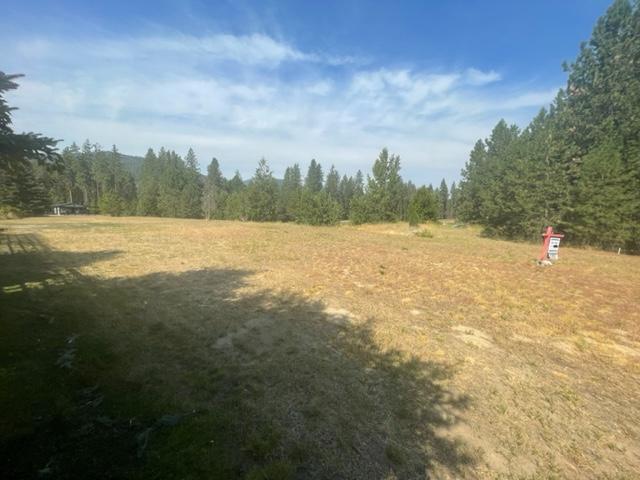 Lot 1 Central Avenue, Christina Lake, British Columbia  V0H 1E0 - Photo 6 - 2468437