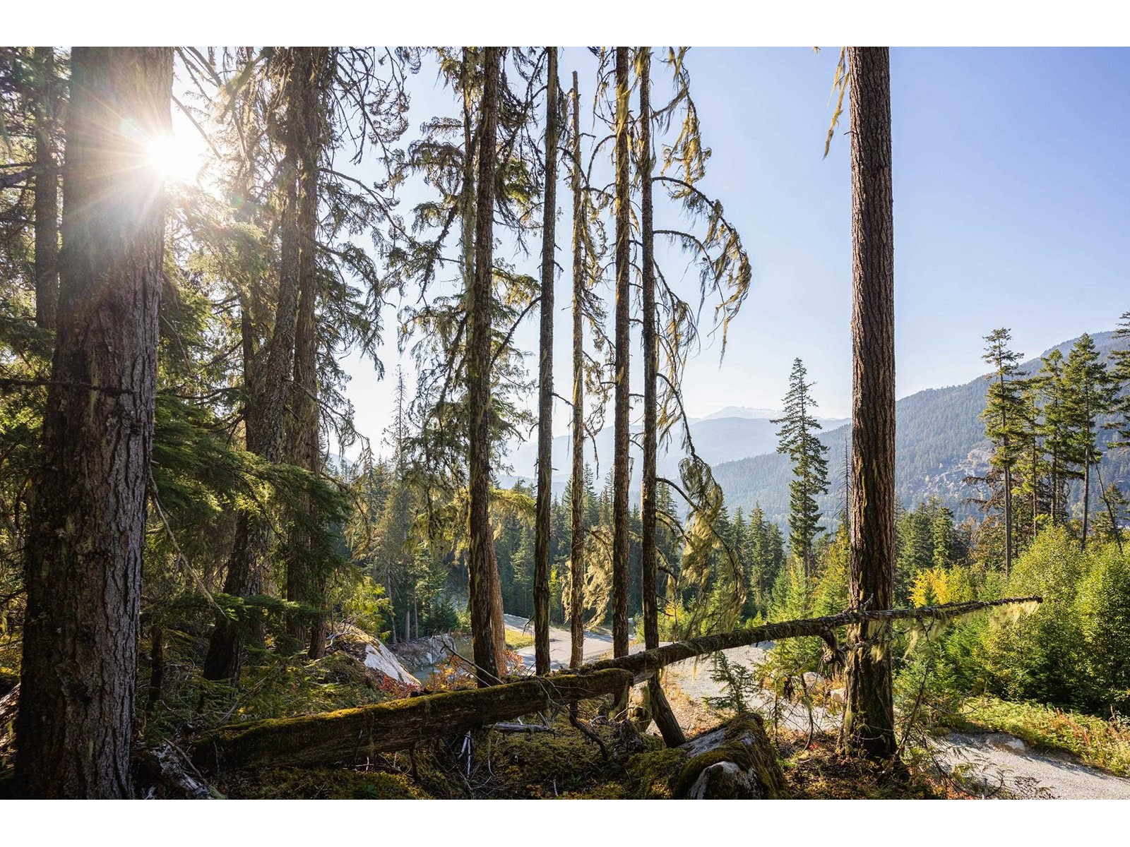 Lorem Ipsum Dolor, Whistler, British Columbia  V8E  - Photo 10 - DEMO25125563