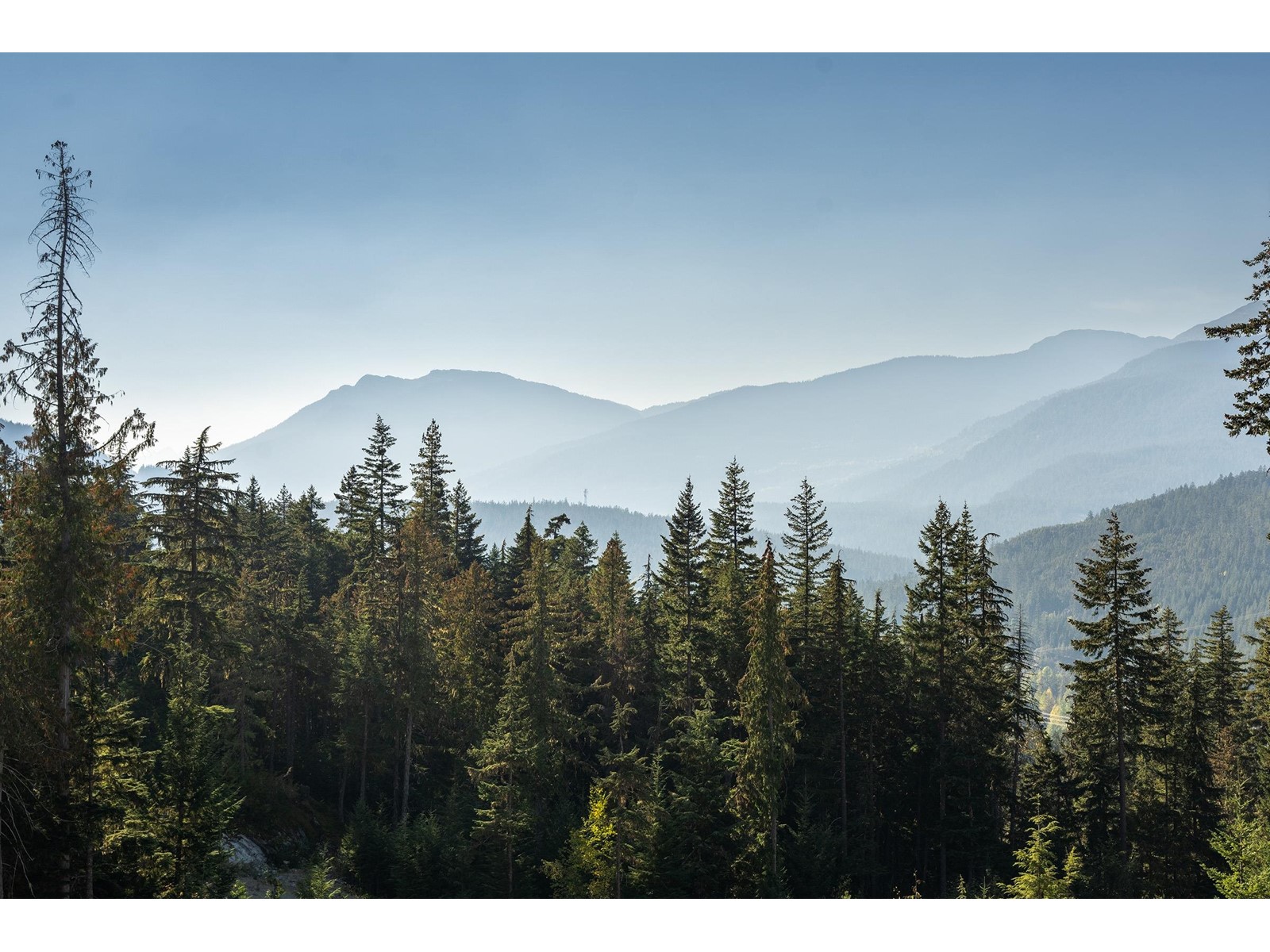 Lorem Ipsum Dolor, Whistler, British Columbia  V8E  - Photo 14 - DEMO25125563