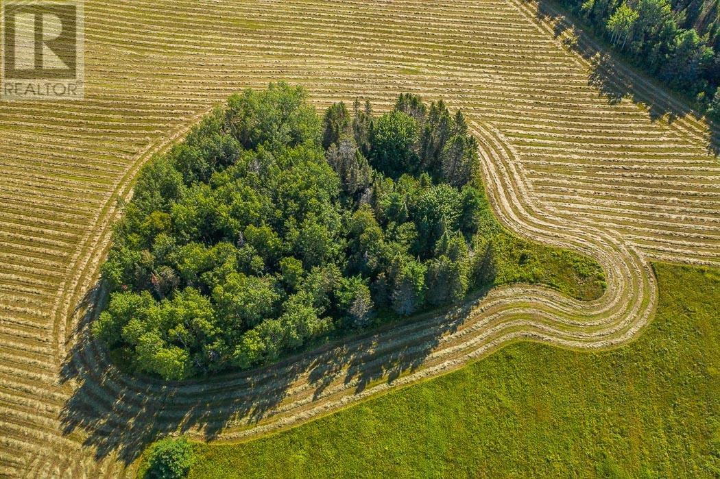 89 Centre Line Rd, At Highway 17 East, Plummer Additional Township, Bruce Mines, Ontario  P0R 1C0 - Photo 13 - SM222275