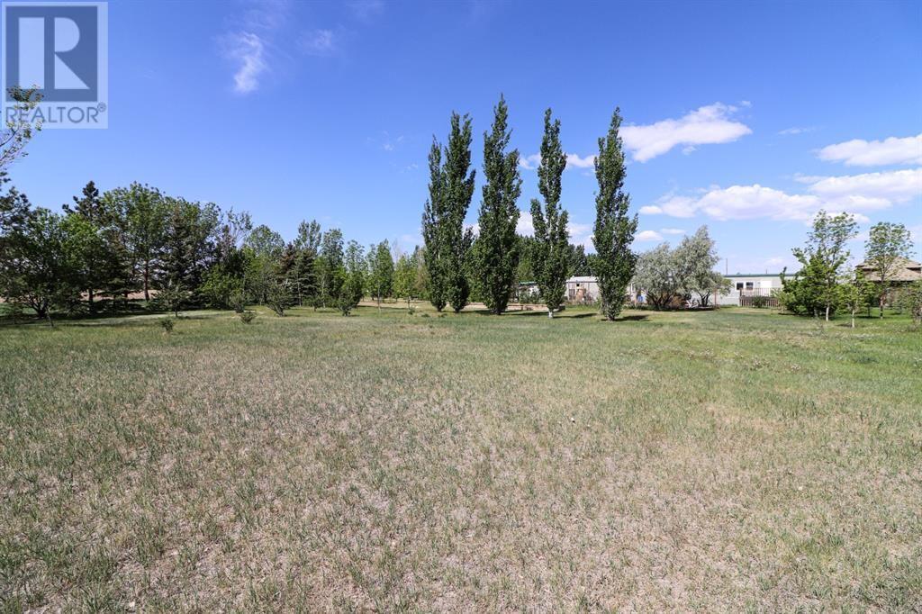 711 8 Avenue E, Bow Island, Alberta  T0K 0G0 - Photo 10 - A1225229