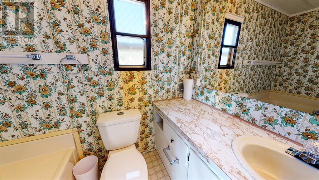 711 8 Avenue E, Bow Island, Alberta  T0K 0G0 - Photo 34 - A1225229