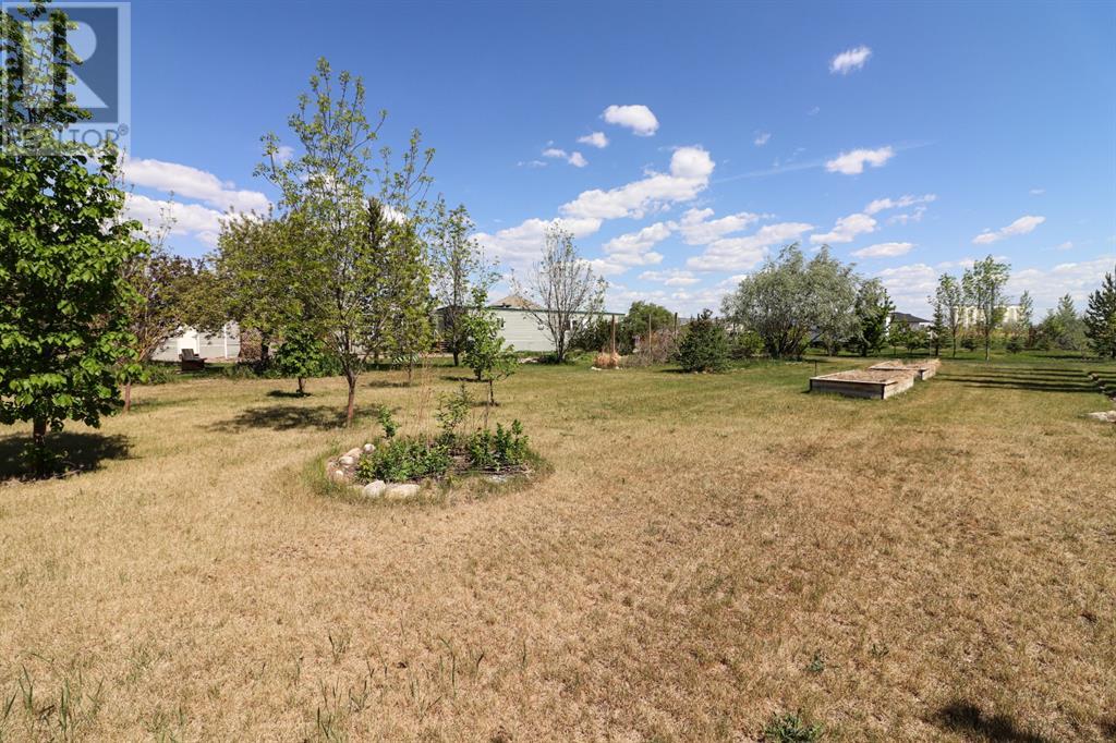 711 8 Avenue E, Bow Island, Alberta  T0K 0G0 - Photo 11 - A1225229