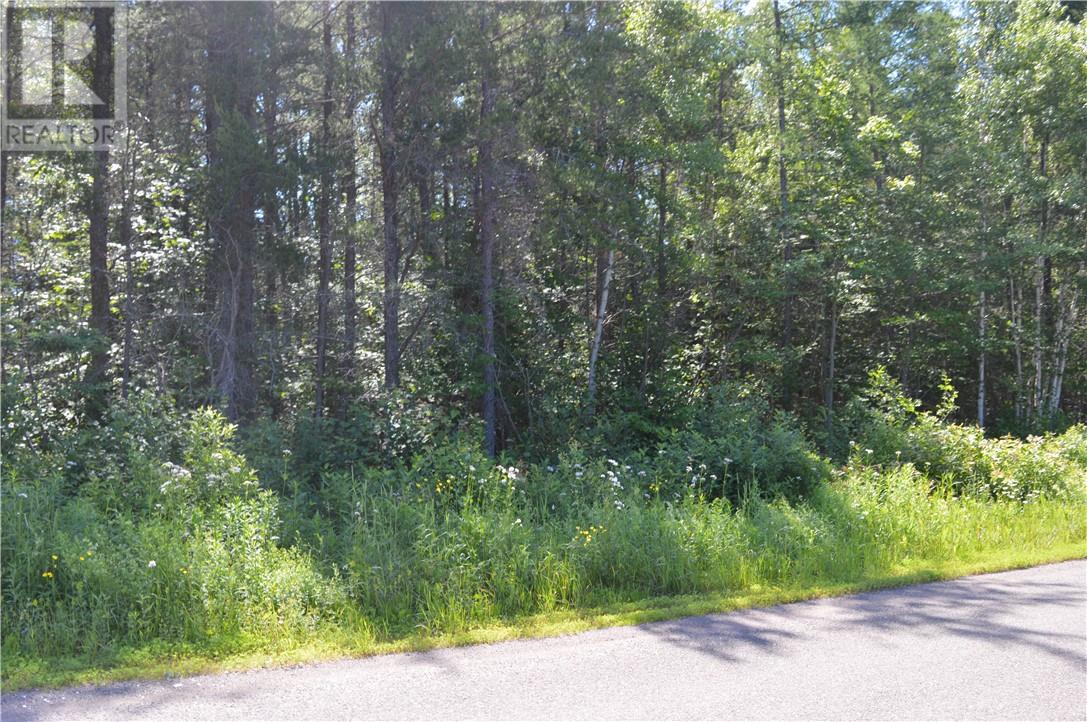 Lorem Ipsum Dolor S, The Glades, New Brunswick  E4J  - Photo 2 - DEMO24600826