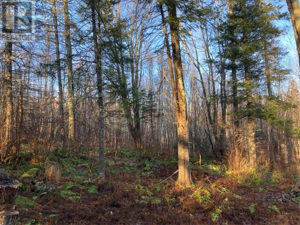 Lot 76-1 & 76-6 Fords Mills Rd, Smiths Corner, New Brunswick  E4T 1Y9 - Photo 5 - M139923