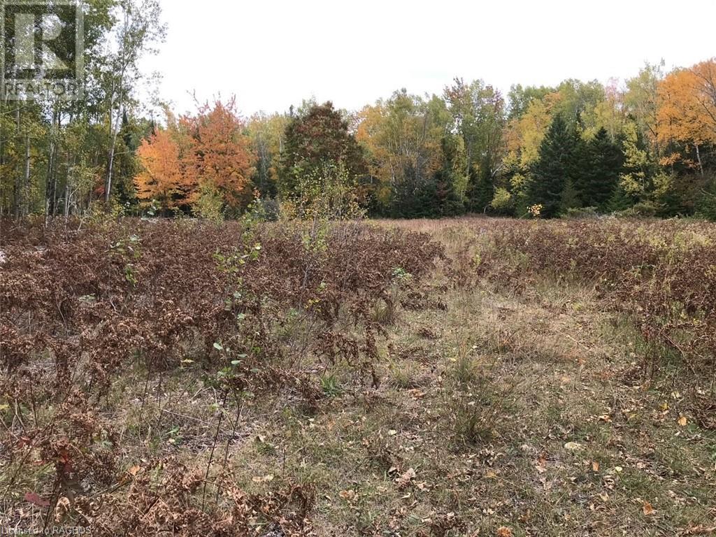 Bruce Twp Land for Sale