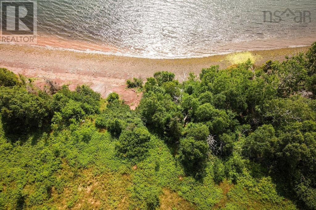 Lorem Ipsum Dolor Sit Am, Mabou, Nova Scotia  B0E  - Photo 21 - DEMO23986337