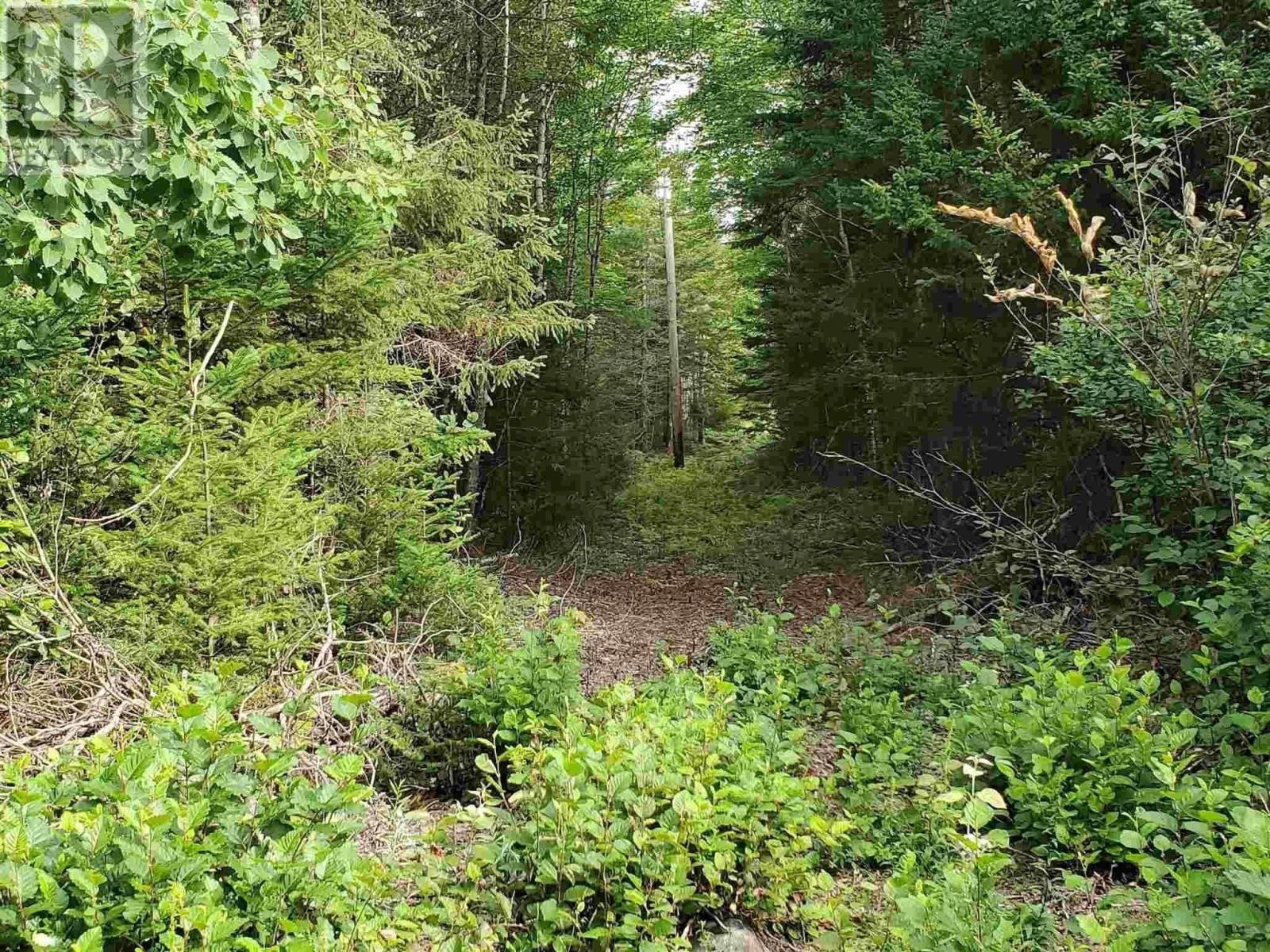 Lot 36 R D Stoddart Drive, East Dalhousie, Nova Scotia  B0R 1H0 - Photo 4 - 202300003