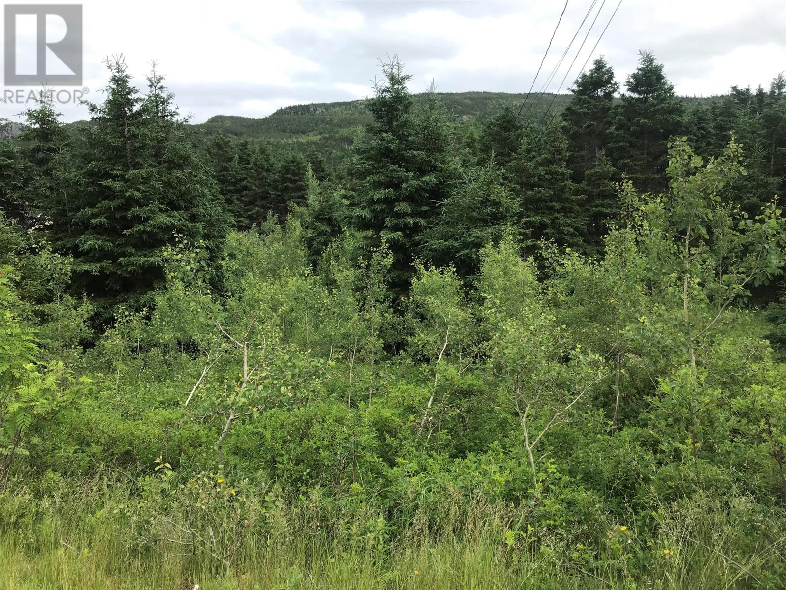 0 Snows Lane Road, North River, Newfoundland & Labrador